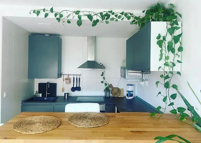 Centrico A 50m De La Playa *